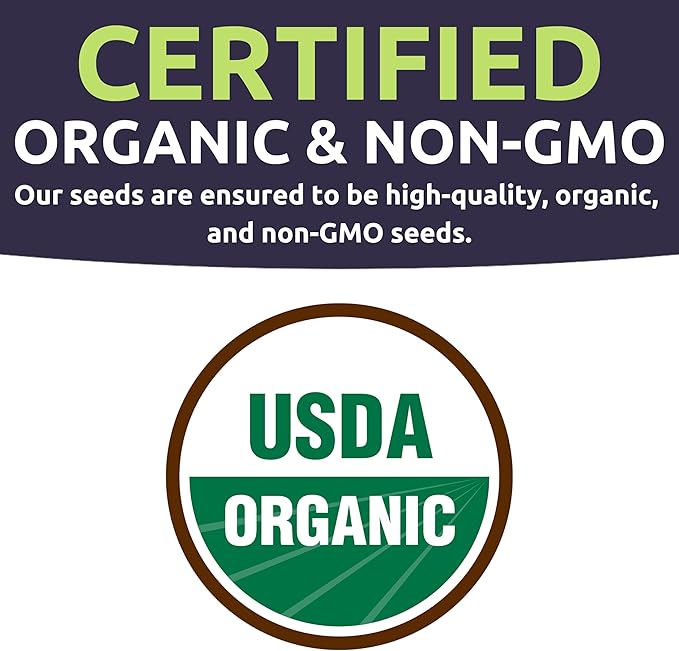 Organic Spinach Bloomsdale Heirloom Seeds - 2 Seed Packets! - Over 300 Open Pollinated Non-GMO USDA Organic Seeds