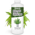 Boston Fern Fertilizer – Liquid Plant Food for Fuller Fronds, Rich Green Color & Healthy New Growth, 32 oz