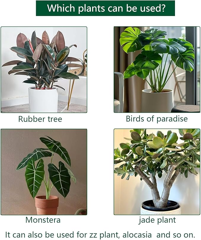 5PCS Monstera Plant Support, Uniquely Designed Plant Stem Support for Indoor Plants, Indoor Plant Trellis, Plant Lattice for Growth Accessories (7"×6.3", Gold)