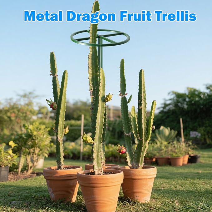 1 Pcs Adjustable Round Dragon Fruit Trellis,Durable Metal Plant Trellis Outdoor Climbing Plants Support Frame for Vertical Gardening Trees Cactus Green