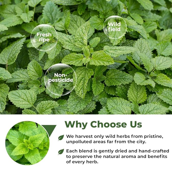 100 Bags Dried Lemon Balm Herb Frontier Loose Lemon Balm Tea (Melissa Officinalis Tea) - 100 Count 1.5 g Bags Melissa Herb Te De Toronjil