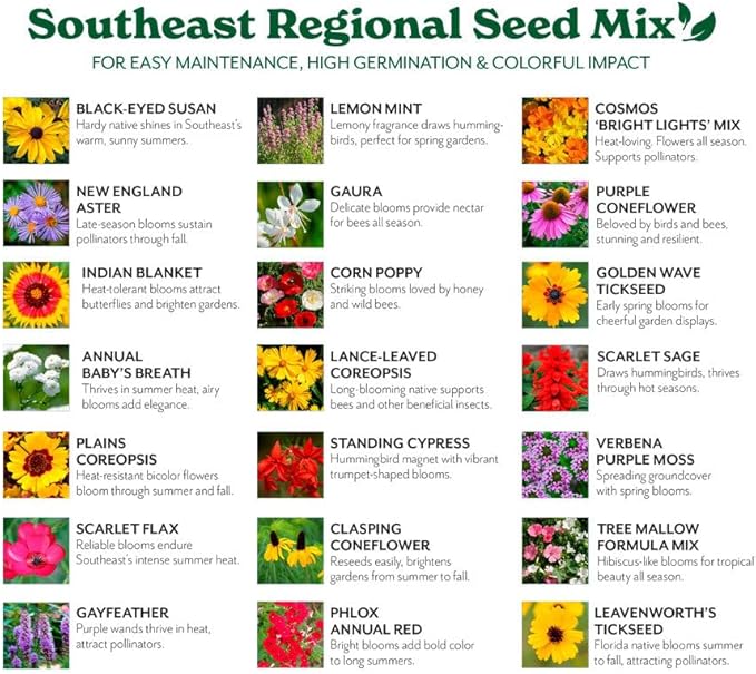 Grow Your Own Vibrant Annual and Perennial Wildflower Garden Seeds Mixture, Varieties for Pollinators and Spring Gardens - Southeast Regional Mix, 1/4 lb
