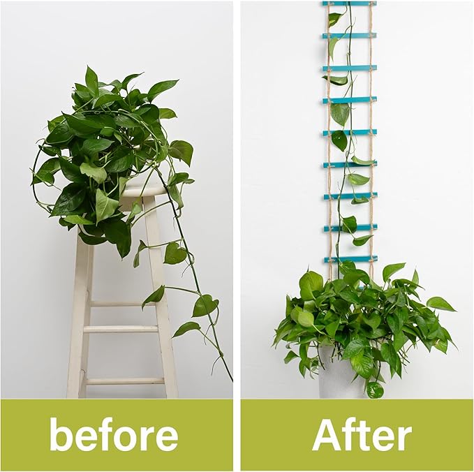 Blue Chain Trellis for Climbing Plants Indoor - Durable Natural Wood Design for Pothos and Ivy Support - Decorative Decorative Wall Feature for Home and Garden