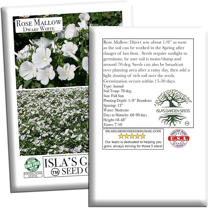 Dwarf White Rose Mallow Flower Seeds (Lavatera trimestris) – 100+ Heirloom Seeds per Packet, by Isla’s Garden Seeds, Compact Blooms for Home Gardens, Borders, Containers, Summer Flowers, Gift Idea