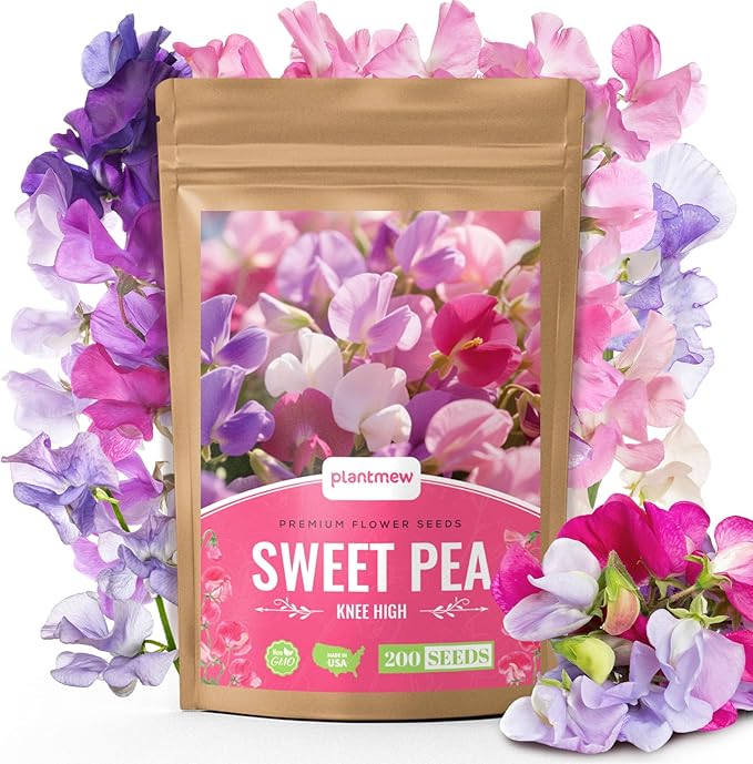 PLANTMEW Sweet Pea Seeds 200 Seeds - Non-GMO Heirloom Organic Seeds Brightly Colored Flowering Vines for Pergolas, Flower Beds, Balconies and Patios