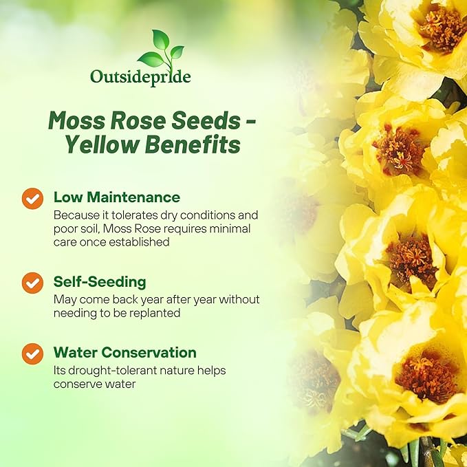 Outsidepride Yellow Moss Rose Seeds - 5000 Pcs Annual, Drought & Heat Tolerant, Pollinator Friendly Ground Cover Seeds for Planting w/Vibrant Blooms & Succulent Foliage, Ideal for Xeriscaping