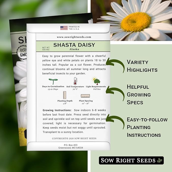 Sow Right Seeds - Shasta Daisy Flower Seeds for Planting - Non-GMO Heirloom Packet with Instructions - Attract Butterflies and Excellent for Cutting - White Blossom with Yellow Centers (4)