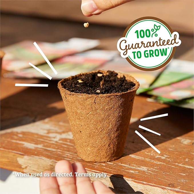 Back to The Roots 100% Organic Seed Packet - Pepper, 'Habanero' 140mg