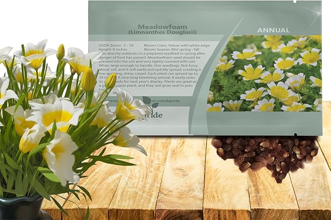 Outsidepride Meadowfoam Seeds - 2000 Pcs. Annual, Self-Seeding & Low Maintenance, Ground Cover Seeds for Planting Fragrant Yellow-White Blooms, Great for Gardens, Borders, & Container Displays