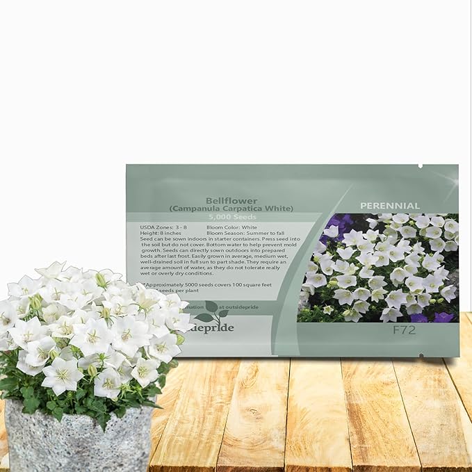 Outsidepride White Bellflower Seeds for Planting - 10000 Pcs Perennial Mat-Forming Flower Seeds with Bell Shaped Blooms & Low Growth Habit for Edging Pollinator Gardens, Containers, & Borders