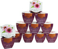 BUZZY Seeds Coneflower Mini Grow Pots 12-Pack – Terracotta Flower Starter Kit, DIY Gardening Project, Indoor-Outdoor Plant Gift