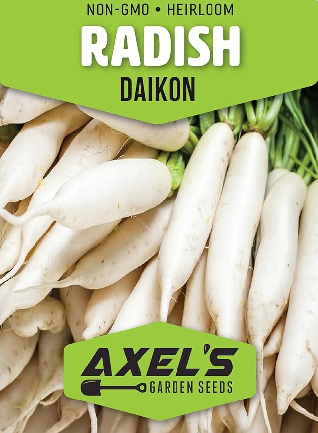 Japanese Daikon Radish Seeds for Planting - 100 Heirloom Non GMO Seeds - Full Planting Instructions to Plant & Grow a Home Vegetable Garden - Great Gardening Gift, 3 Packets