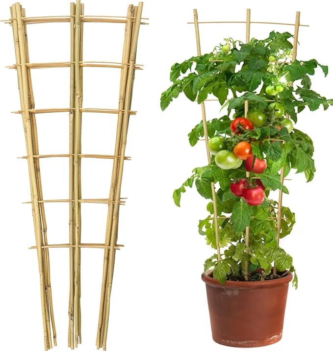4 Pack 4 Feet Bamboo Trellis for Climbing Plants Outdoor, Taoskai Fan-Shape Garden Trellis for Tomatoes, Cucumbers, Peas, Flowers, Potted Plants, Plant Support