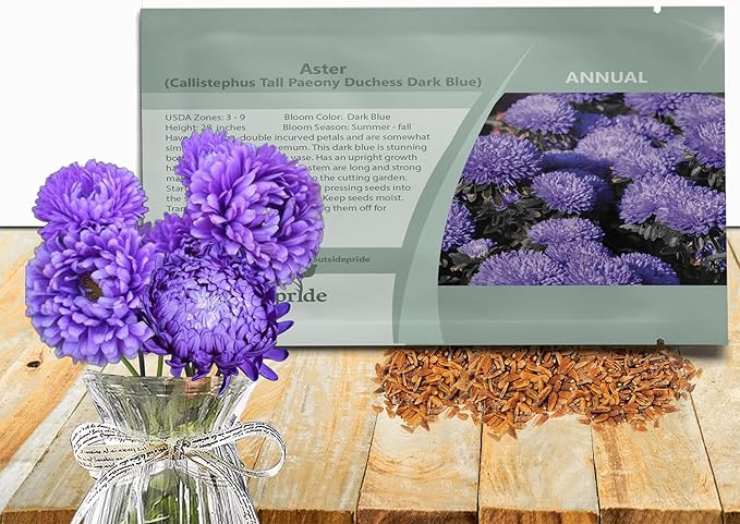 Outsidepride Paeony Aster Seeds - 2,000 Pcs Annual, Hardy & Pollinator Friendly Flower Seeds for Planting Vibrant Double Incurved Dark Blue Petals, Ideal for Meadows & Aesthetic Gardens