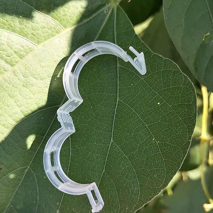 100Pcs White Secured Plastic Plant Clip, Plant Clips for Climbing Plants,Plant Clips for Climbing Plants,Plant Support Garden Clips Plant Support Structures