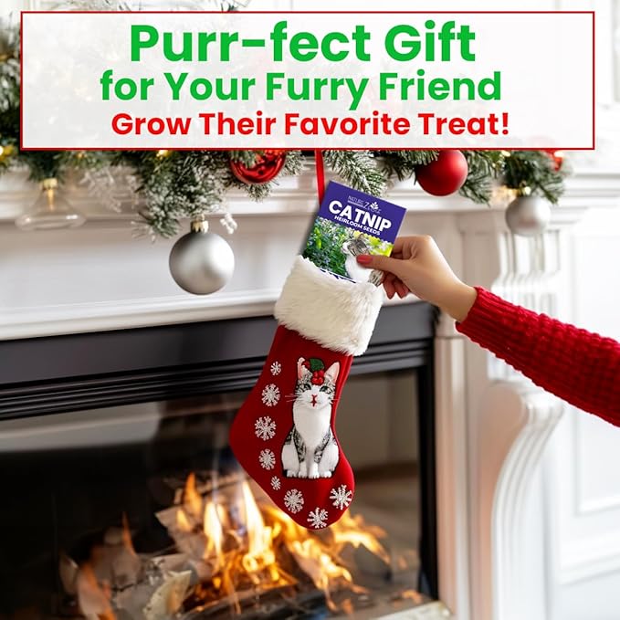 NatureZ Edge Catnip Seeds for Planting, 2200+ Herb Seeds, Indoor or Outdoor Growing, Cat Nip Seeds, Your Cat Will Love Them, Non-GMO