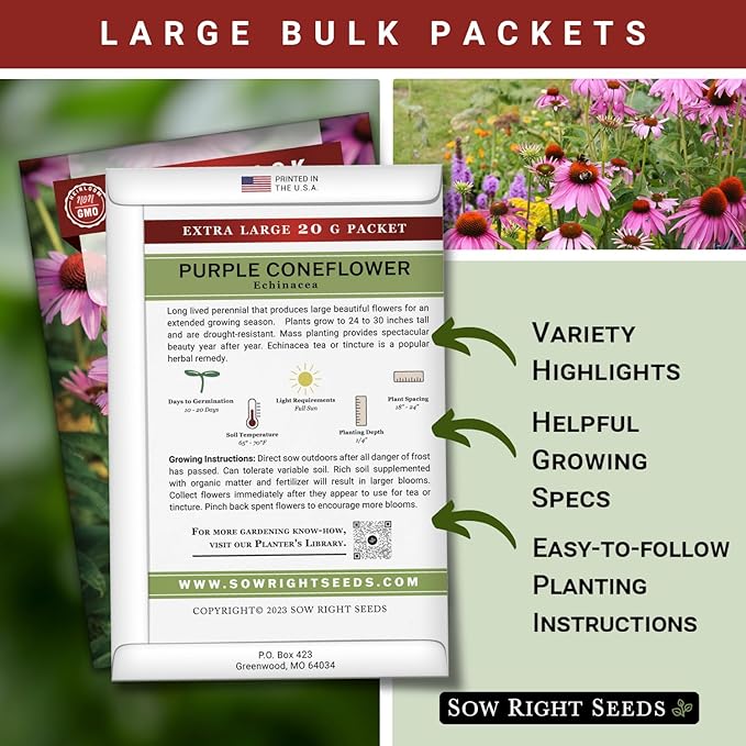 Sow Right Seeds - Bulk Purple Coneflower Echinacea Flower Seeds for Planting - 20 Grams, 5500 Seeds - Non-GMO Heirloom Jumbo Pack with Instructions to Plant an Herbal Tea Garden - for Pollinators