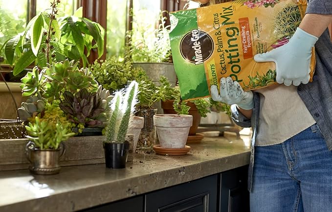 Miracle-Gro Cactus, Palm and Citrus Potting Mix, for Indoor or Outdoor Container Plants, Great for Succulents, 8 qt. (Pack of 2)