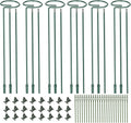 6 Pack (DIY) Plant Support Stakes, Three Sizes (12 or 24 or 36 inch) Plant Support Rings for Outdoor or Indoor, Garden Plant Stakes for Flowers Vegetable Roses Daffodils Tomatoes