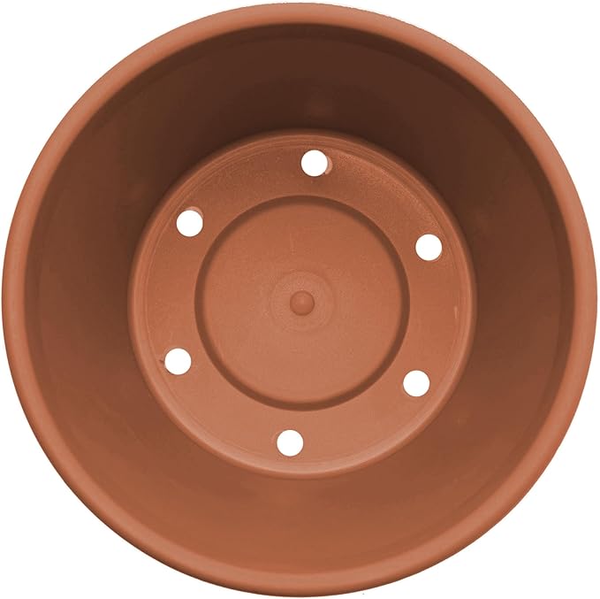 Bloem Terra 8" Diameter Round Terra Cotta Resin Planter Pot with Drainage Holes for Indoor and Outdoor Gardening