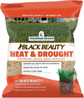 Jonathan Green (10515) Black Beauty Heat & Drought Resistant Grass Seed - Cool Season Lawn Seed (7 lb)