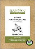 Banyan Botanicals Organic Zucchini Seeds – Costata Romanesco Zucchini Seeds – Great for Cooking, Baking, or Zucchini Noodles – 25 Count – Open Pollinated Non-GMO Easy-to-Grow