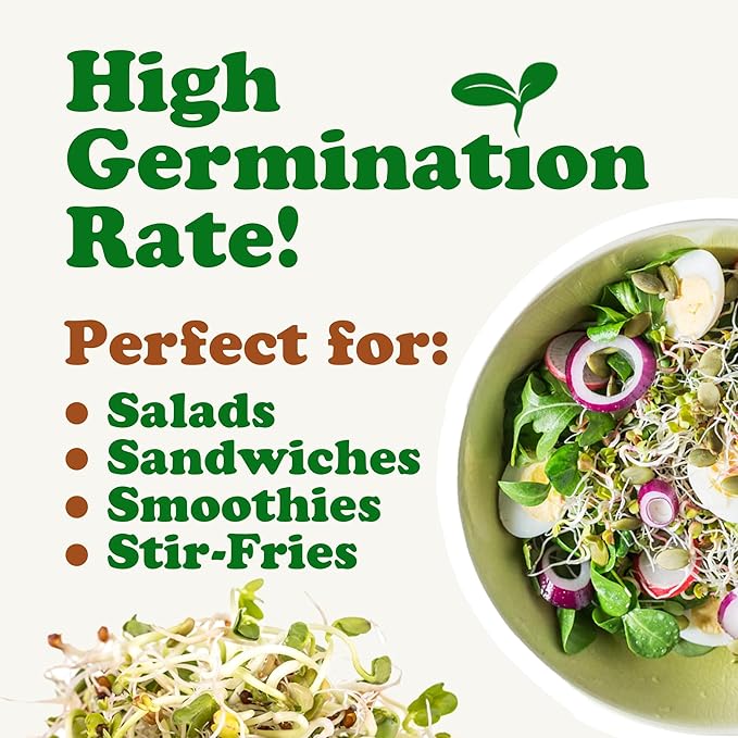 Food to Live - Salad Mix of Sprouting Seeds, 8 Ounces Broccoli, Clover, Radish, Alfalfa, Kosher, Raw, Vegan