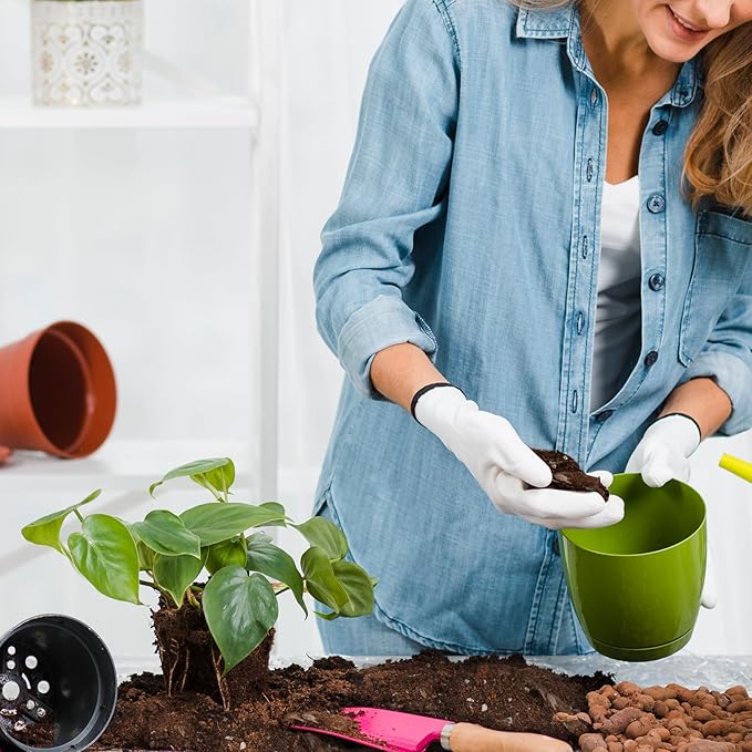 Organic Pothos Soil Mix 2qt, Indoor Plants Potting Mix for All Potted Pothos, Grow Healthy houseplants Indoors