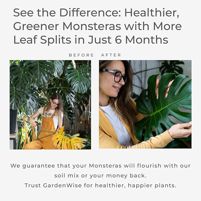 GARDENWISE Monstera Potting Soil Mix – Organic, Fast-Draining, Chunky Soil with Coconut Coir & New Zealand Bark for Indoor Plants – Premium Fertilizer for Monstera Deliciosa, Albo & More (3 quarts)