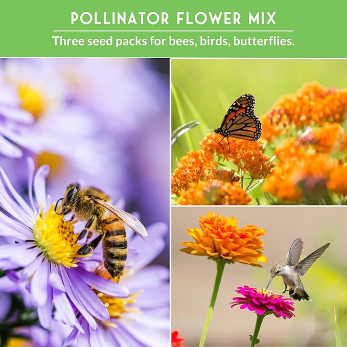Heirloom Pollinator Flower Seeds 3 Pack for Planting - Attract Butterflies, Bees, Hummingbirds - Nectar & Pollen Rich Perennial & Annual Wildflowers for Pollinators - Survival Garden Seeds