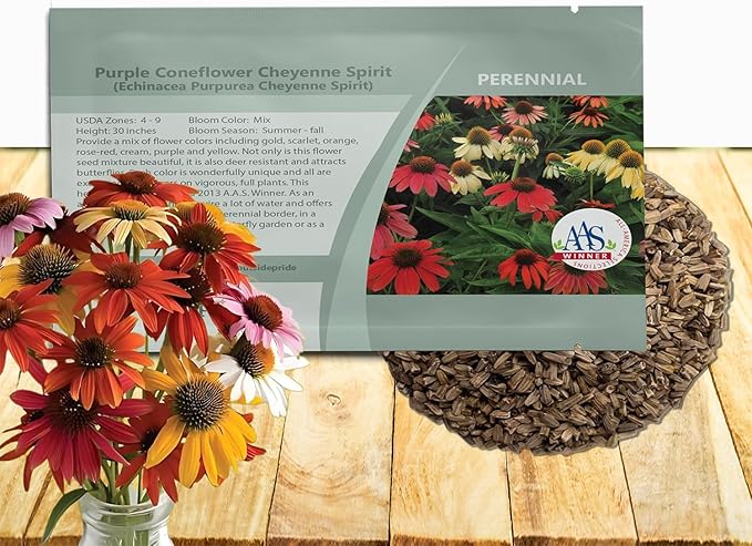 Outsidepride Cheyenne Spirit Echinacea Coneflower Seeds - 20 Pcs Perennial, Drought Tolerant Mix of Purple Coneflower Seeds for Planting, Attracts Birds & Butterflies for Xeriscape (AAS Winner)