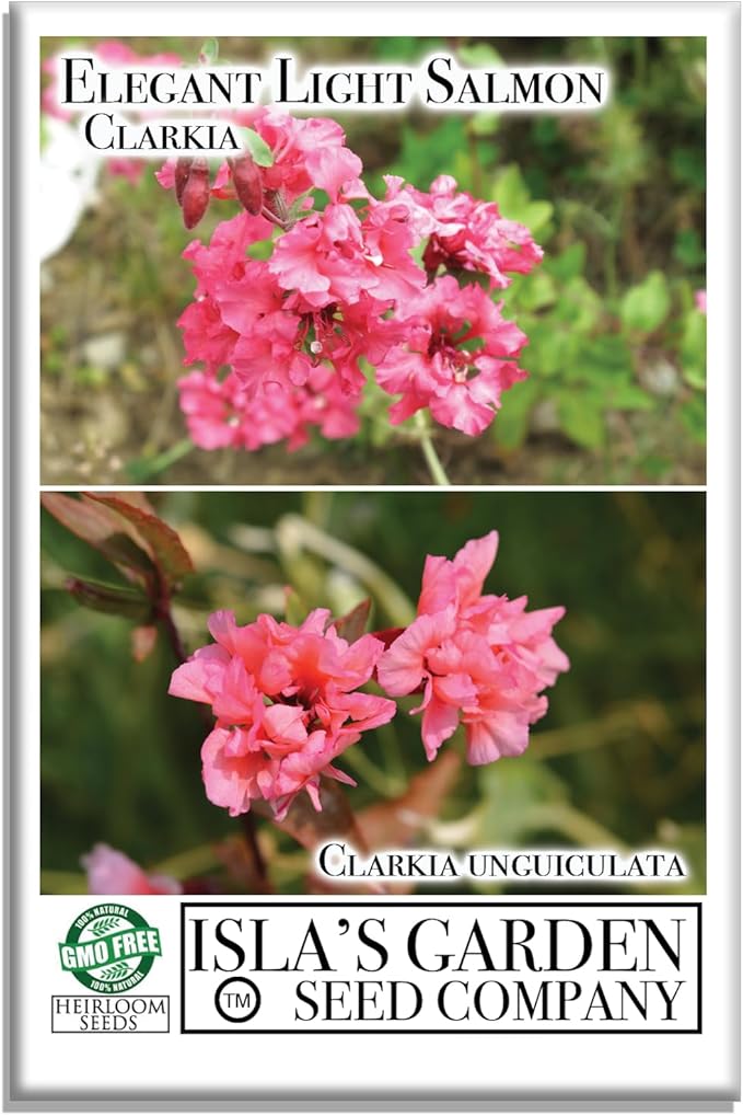 Clarkia Flower Seeds – Elegant Double Light Salmon (Clarkia Unguiculata) – 1000+ Non-GMO Heirloom Seeds, by Isla’s Garden Seeds, Perfect for Home Gardens, Easy to Grow, Beautiful Blooms, Great Gift