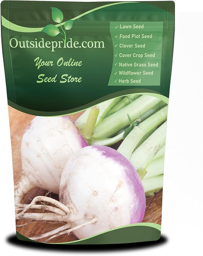 Outsidepride Purple Top Turnip Seeds -1 Lb High-Yield, High Protein Turnip Seed, Ideal Cover Crop, for Forage, Grazing Livestock, High Energy Deer Food Plot & Soil Improvement