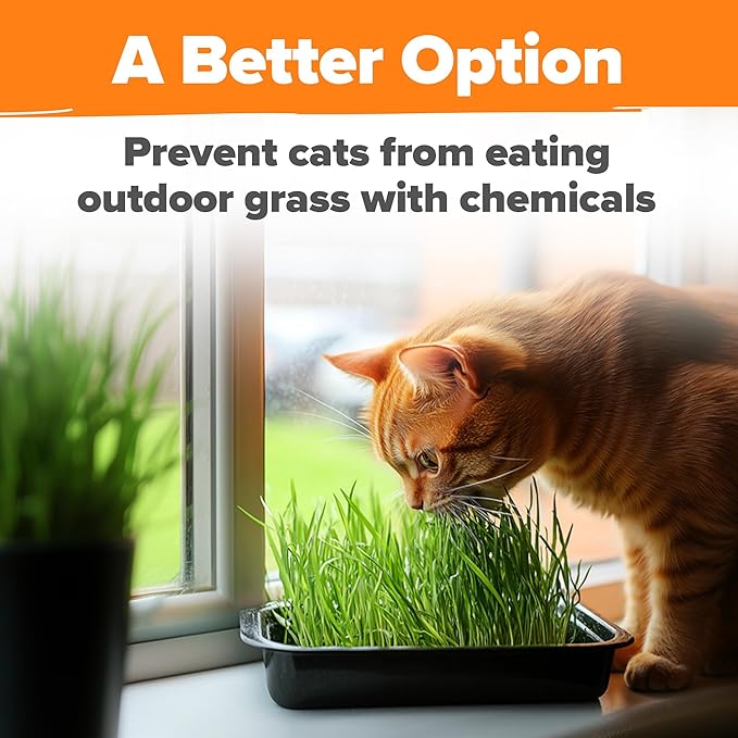 HOME GROWN Organic Cat Grass Seeds Pack 8oz – 7200 Non GMO Heirloom Oat & Barley Grass Seeds for Indoor Cats – High Germination Hairball Relief, Pet Grass Ready in 7Days
