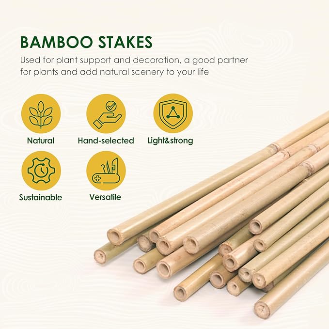 Bamboo Sticks for Plants 2 Feet Bamboo Stakes for Indoor Gardening Plant Stakes Supports Potted Plants Mini Trees Garden Stakes - Pack of 30 Bamboo Poles
