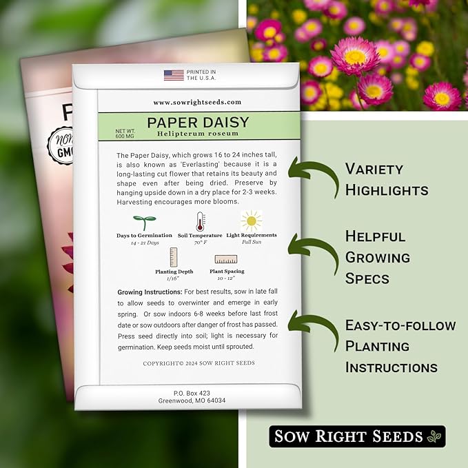 Sow Right Seeds - Paper Daisy (Helipterum Roseum) Seeds to Plant - Non-GMO Heirloom Packet, Instructions to Plant in Your Garden - Fantastic Cut Flower for Bouquets - Use for Decorations & Garland (1)