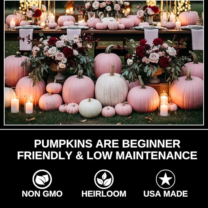 Rouge VIF d'Étampes Pumpkin Seeds for Planting (10 Seeds) – Grow Beautiful Deep Red Cinderella Pumpkins | Heirloom Variety, Easy to Grow, Perfect for Fall Décor and Baking