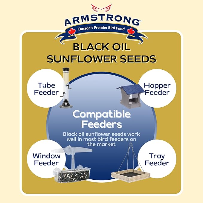 Armstrong Wild Bird Food Black Oil Sunflower Bird Seed, 3 Pounds - for Northern Cardinals, Blue Jays and Hairy Woodpeckers - Ideal for Outside Feeders