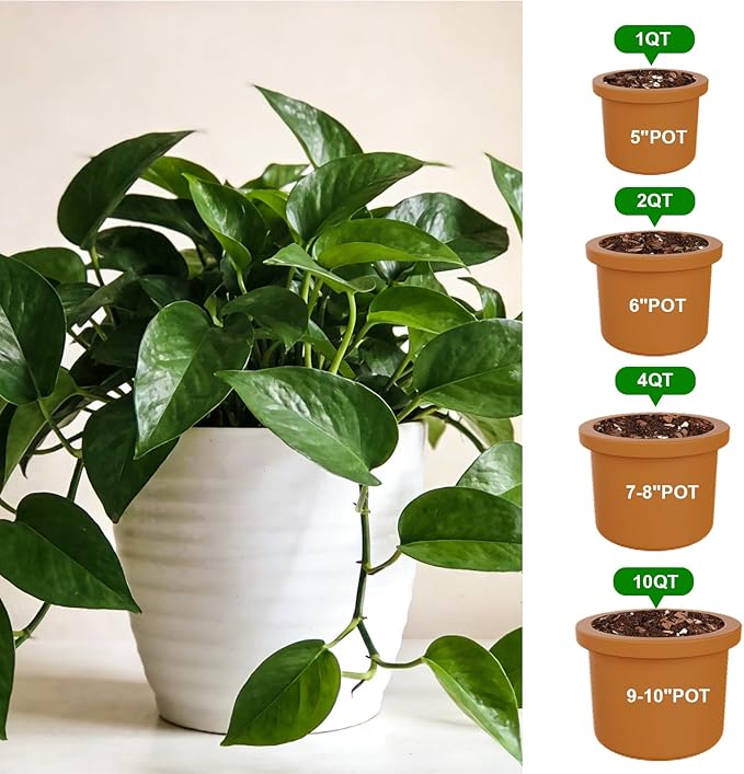 Pothos Potting Soil -Pure Natural Organic Soil 2qt, Well-Draining and Aerated for Healthy Indoor Plants