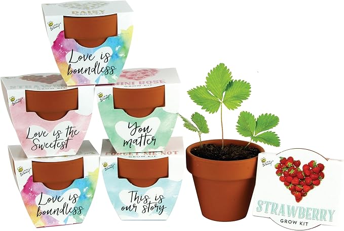 BUZZY Seeds Love Collection Indoor Flower Starter Kit – Terracotta Mini Grow Pots 6-Pack with Strawberry, Mini Rose, Forget-Me-Not, and Daisy Seeds, Valentine’s Day and Wedding Favors