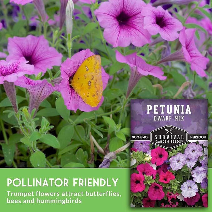 Dwarf Petunia Seed Mix for Planting - Plant & Grow Colorful Flowers to Attract Pollinators to Your Home Garden - Non-GMO Heirloom Variety - Survival Garden Seeds (1 Pack)