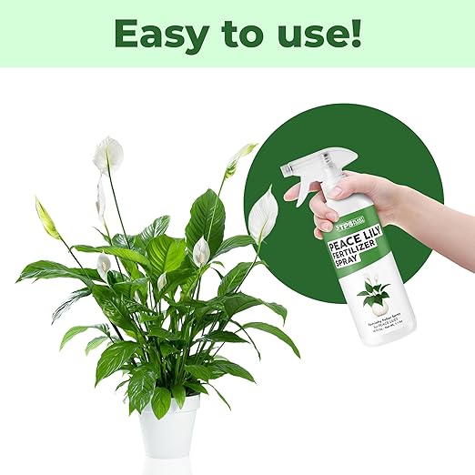 Peace Lily Fertilizer Spray – Fast-Acting Mist for Deep Green Leaves & Longer Blooms (16 oz)