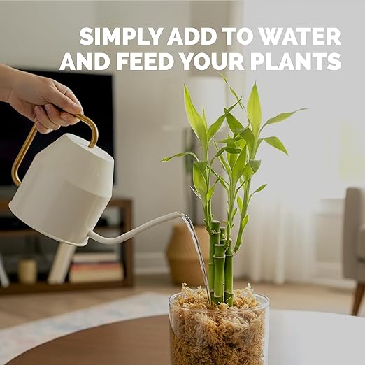 Lucky Bamboo Fertilizer – Liquid Plant Food for Greener Stalks, Healthy New Shoots & Steady Growth, 32 oz