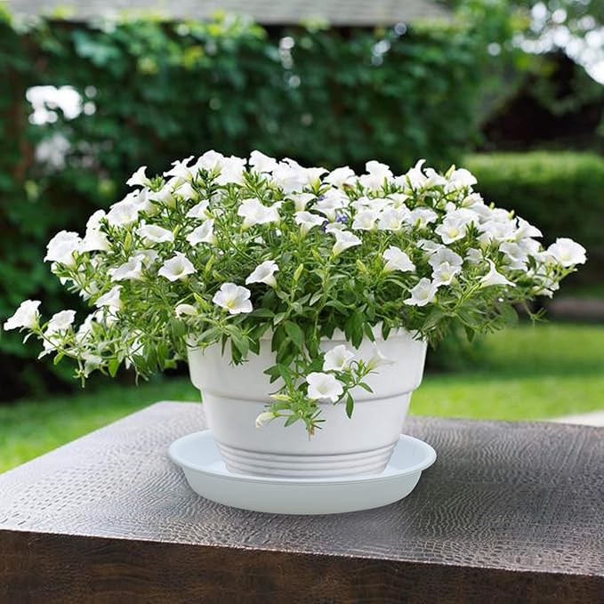 TITE 3 Pack Plant Saucer Heavy Duty Sturdy Drip Trays for Indoor and Outdoor (14 Inch, White)