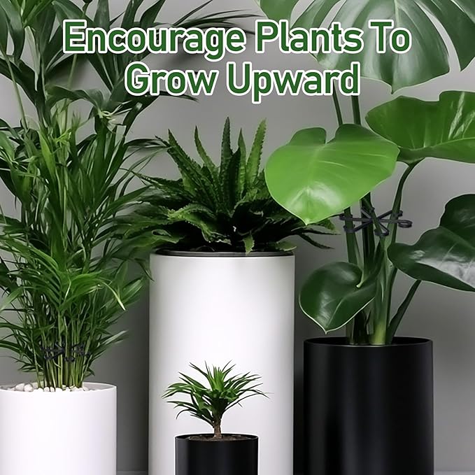 16Pcs Plant Stem Support, Plant Support for Indoor Plants, Plastic Climbing Plants Stem Holders for Thriving Growth Accessories