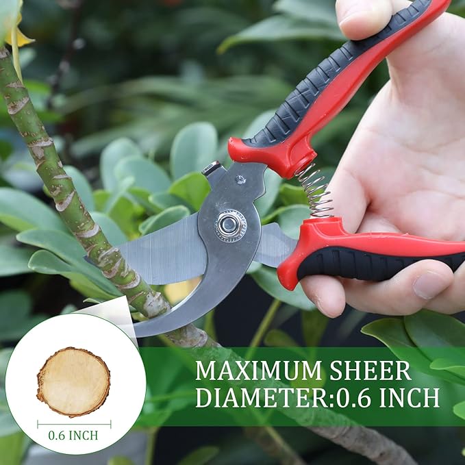 6 Pcs Garden Bypass Pruning Shears Bulk Heavy Duty Gardening Scissors Stainless Steel Blades Gardening Shears Handheld Garden Pruners Manual Plant Clipper for Flower Trimming Secateurs Tool 7.48 Inch
