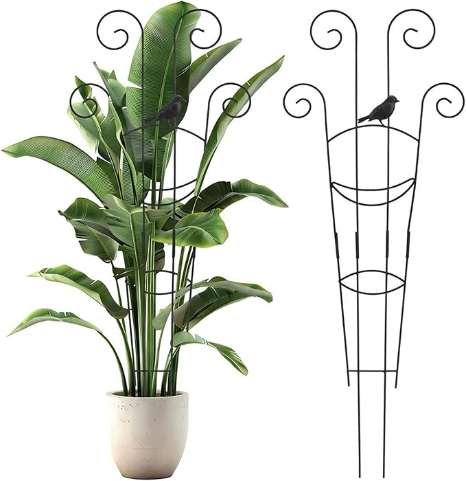 2 Pack Trellis for Climbing Plants Indoor, 30In Monstera Plant Support Structures, Plant Trellis for Potted Plants Stakes, Metal Climbing Support Outdoor for Ivy Pothos Monstera Hoya Flower Vine,Bird