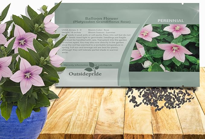 Outsidepride Rose Balloon Flower Seeds for Planting – 1000 Pcs Perennial, Drought-Tolerant, Easy to Grow, Low Maintenance, Pollinator-Friendly, Star-Shaped Blooms for Outdoor Gardens and Borders