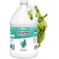 Seaweed Fertilizer – Organic Kelp Plant Food for All Plants, Boosts Nutrient Uptake for a Lush, Vibrant Garden, 1 Gallon