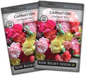Sow Right Seeds - Chabaud Mix Carnation Seeds for Planting - Non-GMO Heirloom Dianthus Variety Ideal for Outdoor Gardens - Grow Large Carnation Plants - Easy to Sow and Bloom Beautiful Flowers (2)